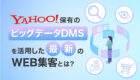 Yahoo!社保有のビッグデータDMSを活用した最新のWEB集客