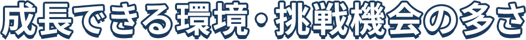 成長できる環境・挑戦機会の多さ